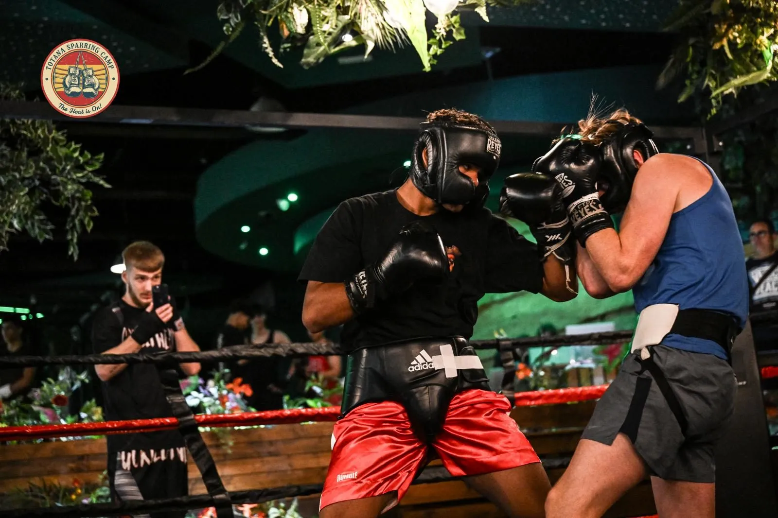 Sparring under the lights