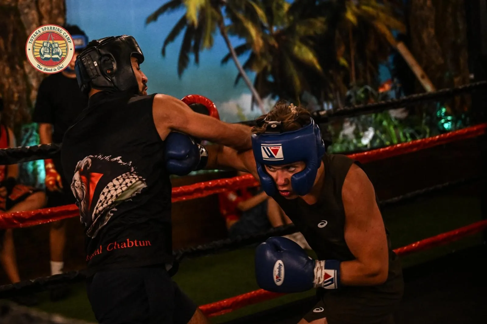 Exchange during sparring