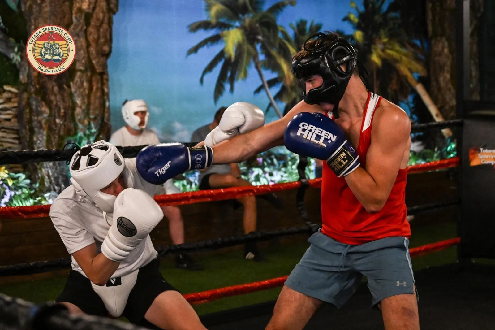 Sparring round